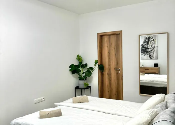 公寓 P193 Stylish 布达佩斯