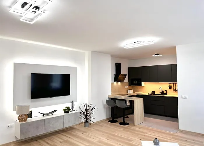 公寓 P193 Stylish 布达佩斯