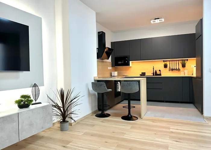 公寓 P193 Stylish 布达佩斯