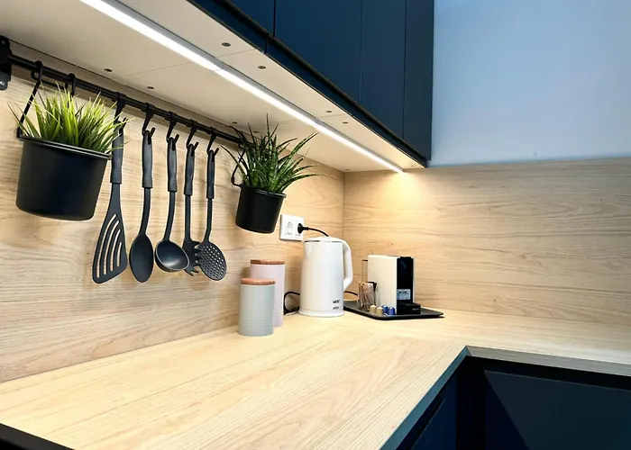 公寓 P193 Stylish 布达佩斯